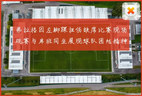弗拉格因左脚踝扭伤缺席比赛现场观赛与库班同坐展现球队团结精神